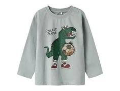 Name It top quarry med dino